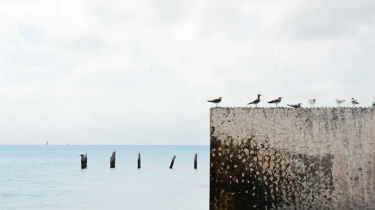 Design Systems That Scale
